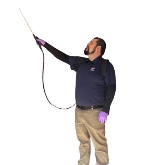 Why_Choose_Us_Home_0001 removebg